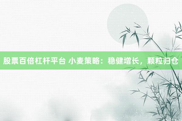 股票百倍杠杆平台 小麦策略：稳健增长，颗粒归仓