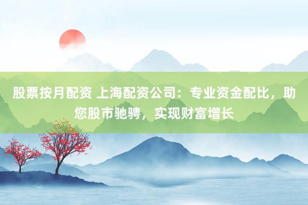 股票按月配资 上海配资公司：专业资金配比，助您股市驰骋，实现财富增长
