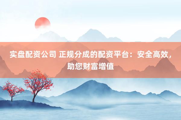实盘配资公司 正规分成的配资平台：安全高效，助您财富增值