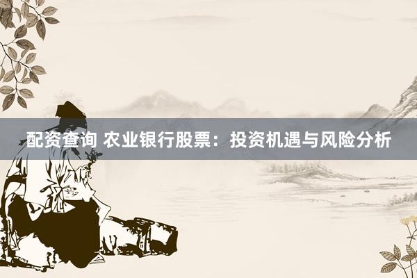 配资查询 农业银行股票：投资机遇与风险分析