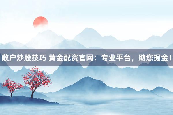 散户炒股技巧 黄金配资官网：专业平台，助您掘金！