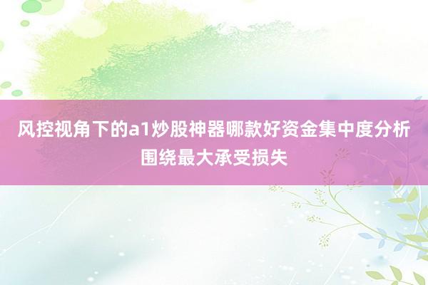 风控视角下的a1炒股神器哪款好资金集中度分析围绕最大承受损失