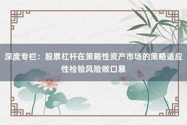 深度专栏：股票杠杆在策略性资产市场的策略适应性检验风险敞口暴
