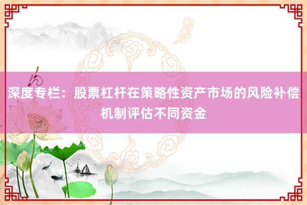 深度专栏：股票杠杆在策略性资产市场的风险补偿机制评估不同资金